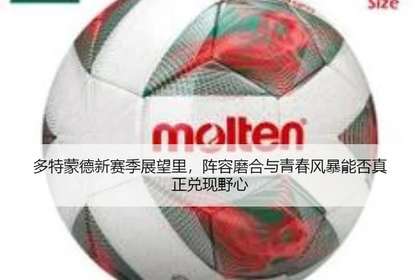 多特蒙德新赛季展望里，阵容磨合与青春风暴能否真正兑现野心